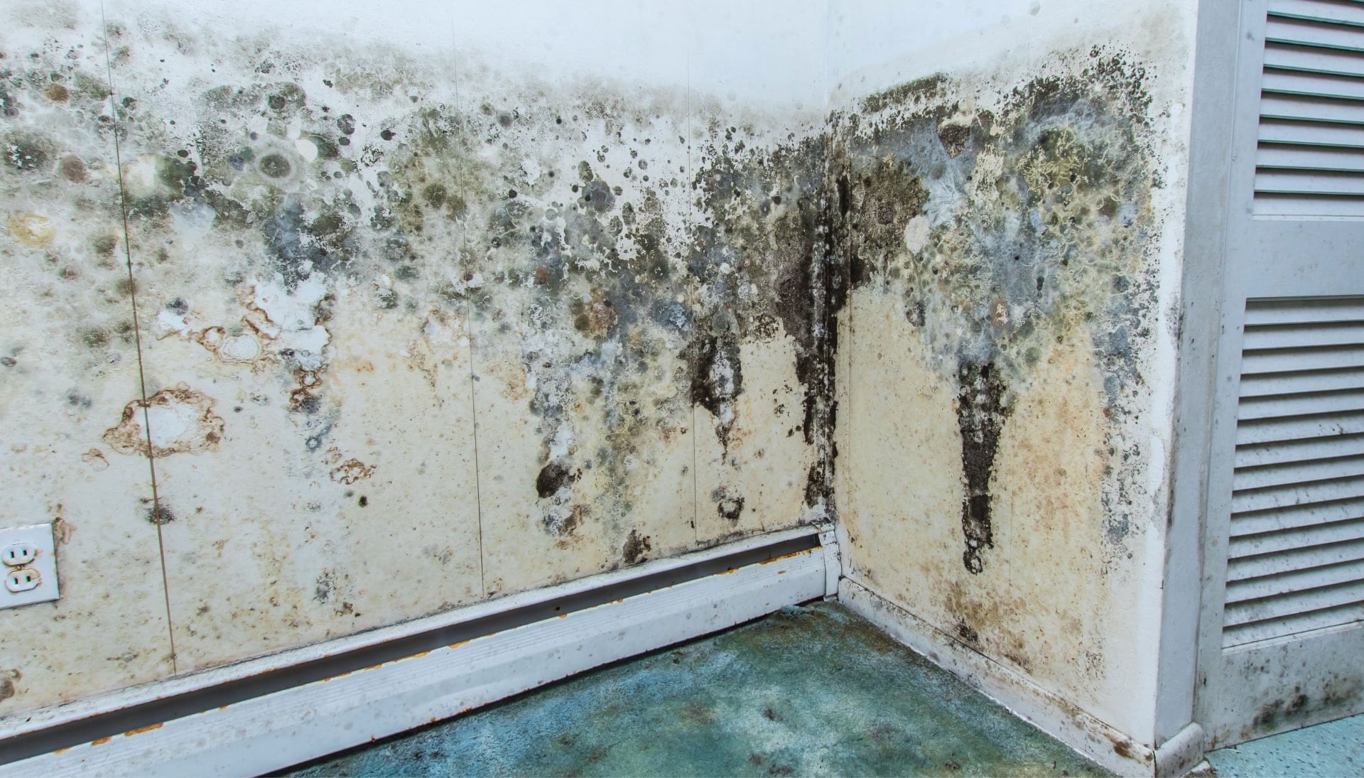 Professional mold removal, odor control, and water damage restoration service in San Francisco, California.