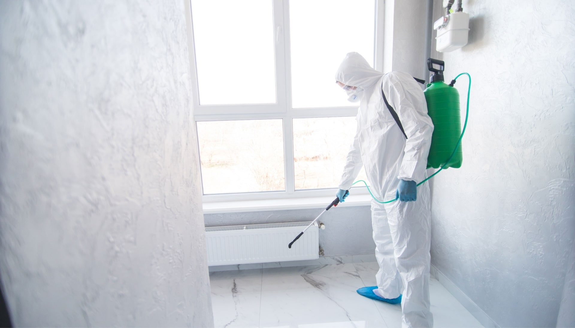 We provide the highest-quality mold inspection, testing, and removal services in the San Francisco, California area.